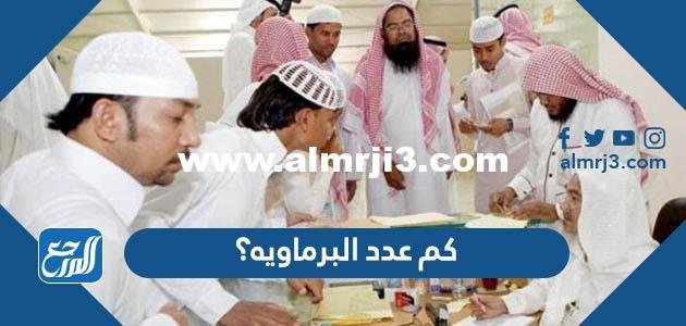 كم عدد البرماويه؟ - محتوي حصري 2025 2 كم عدد البرماويه؟ - موقع المرجع
