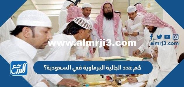 كم عدد الجالية البرماوية في السعودية؟ 2025 3 كم عدد الجالية البرماوية في السعودية؟