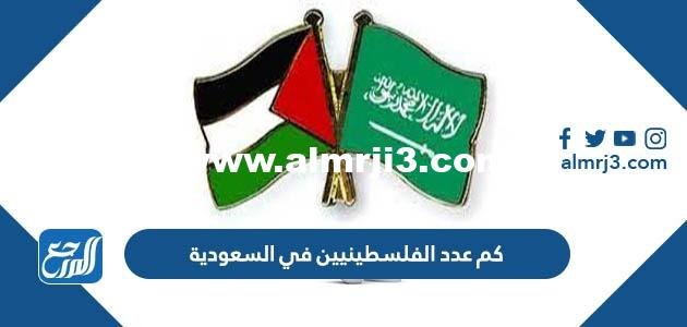 كم عدد الفلسطينيين في السعودية 2025 3 كم عدد الفلسطينيين في السعودية 2024