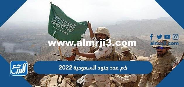 كم عدد جنود السعودية 2025 وما ترتيبه بين جيوش العالم 2025 1 كم عدد جنود السعودية 2024 وما ترتيبه بين جيوش العالم