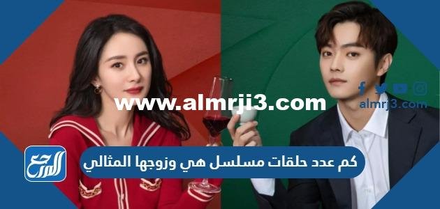 كم عدد حلقات مسلسل هي وزوجها المثالي