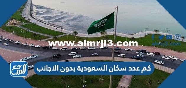 كم عدد سكان السعودية بدون الاجانب 2025 1 كم عدد سكان السعودية بدون الاجانب 2024