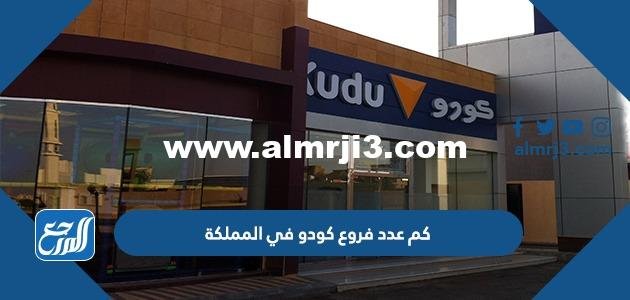 كم عدد فروع كودو في المملكة