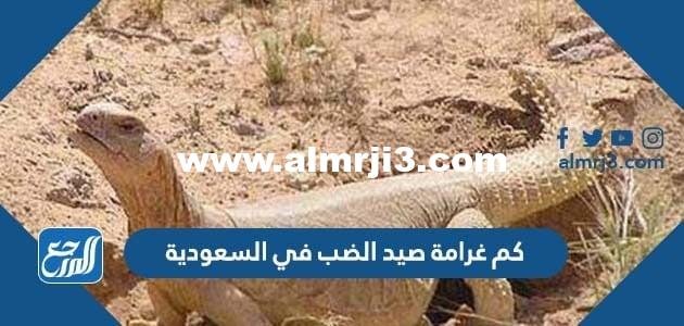 كم غرامة صيد الضب في السعودية 2025 2 كم غرامة صيد الضب في السعودية