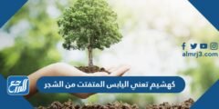 كهشيم تعني اليابس المتفتت من الشجر 2025 1 كهشيم تعني اليابس المتفتت من الشجر