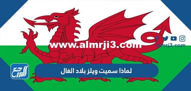 لماذا سميت ويلز بلاد الغال 2025
