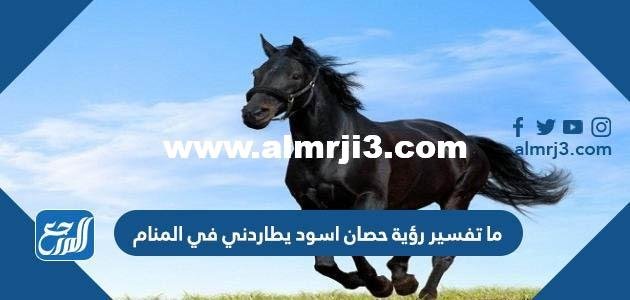 ما تفسير رؤية حصان اسود يطاردني في المنام 2025 3 ما تفسير رؤية حصان اسود يطاردني في المنام