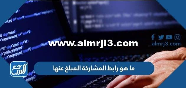 ما هو رابط المشاركة المبلغ عنها 2025 3 ما هو رابط المشاركة المبلغ عنها