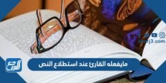 مايفعله القارئ عند استطلاع النص