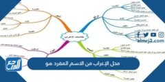 محل الإعراب من الاسم المفرد هو 2025 3 محل الإعراب من الاسم المفرد هو