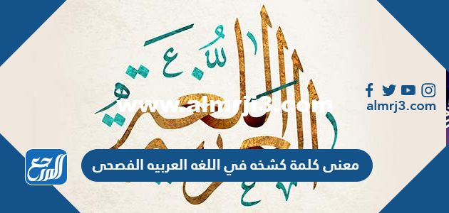 معنى كلمة كشخه في اللغه العربيه الفصحى 2025