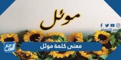 معنى كلمة موئل - موقع المرجع