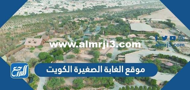 أين موقع الغابة الصغيرة الكويت ومواعيد العمل 2025 2 أين موقع الغابة الصغيرة الكويت ومواعيد العمل