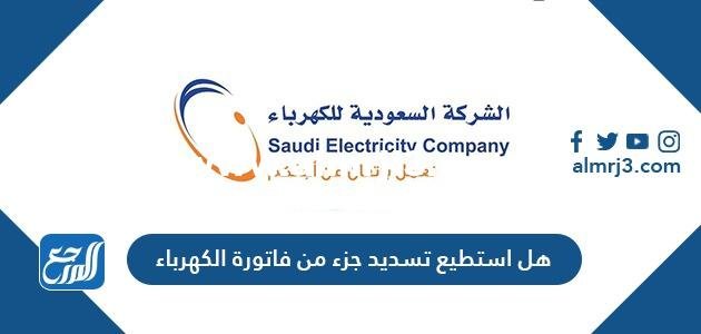 هل أستطيع تسديد جزء من فاتورة الكهرباء 2025 3 هل أستطيع تسديد جزء من فاتورة الكهرباء