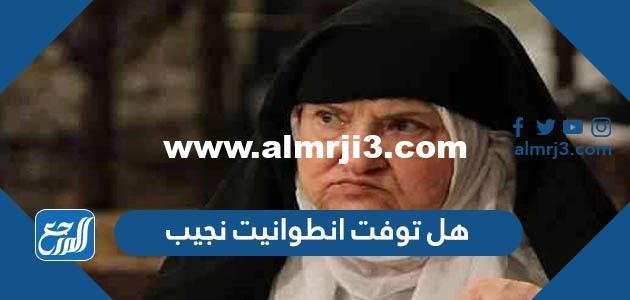 هل توفت انطوانيت نجيب - محتوي حصري 2025 1 هل توفت انطوانيت نجيب - موقع المرجع
