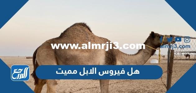 هل فيروس الابل مميت وما هو علاجه 2025