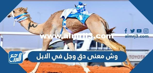 وش معنى دق وجل في الابل