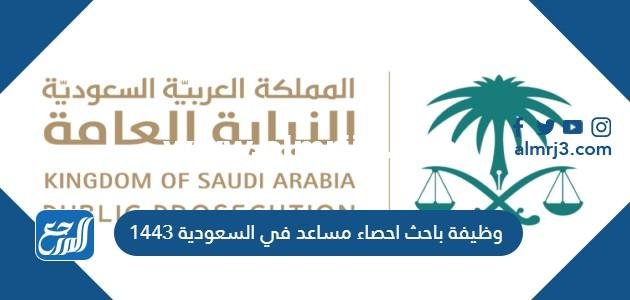 وظيفة باحث احصاء مساعد في السعودية 1446 2025 3 وظيفة باحث احصاء مساعد في السعودية 1446