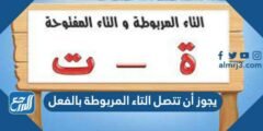 يجوز أن تتصل التاء المربوطة بالفعل 2025 2 يجوز أن تتصل التاء المربوطة بالفعل