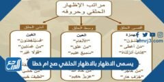 يسمى الاظهار بالاظهار الحلقي صح ام خطا 2025 2 يسمى الاظهار بالاظهار الحلقي صح ام خطا