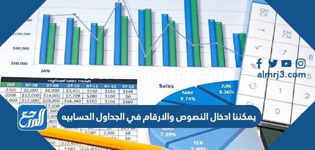 يمكننا ادخال النصوص والارقام في الجداول الحسابيه 2025 1 يمكننا ادخال النصوص والارقام في الجداول الحسابيه
