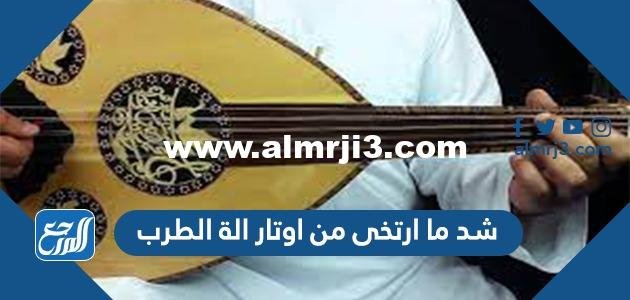شد ما ارتخى من اوتار الة الطرب من 5 حروف 2025 شد ما ارتخى من اوتار الة الطرب من 5 حروف 2025